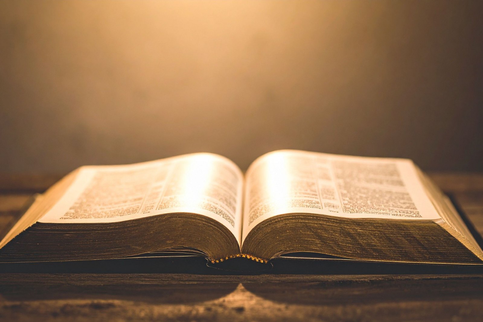 An open Bible in warm light